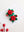 Clips de rosa de fieltro